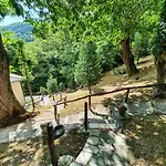 The Mushroom Anilio Pelion
