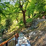 The Mushroom Anilio Pelion