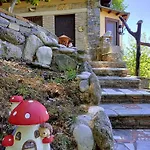 The Mushroom * Anilio Pelion