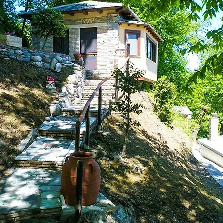 The Mushroom Case de vacanță