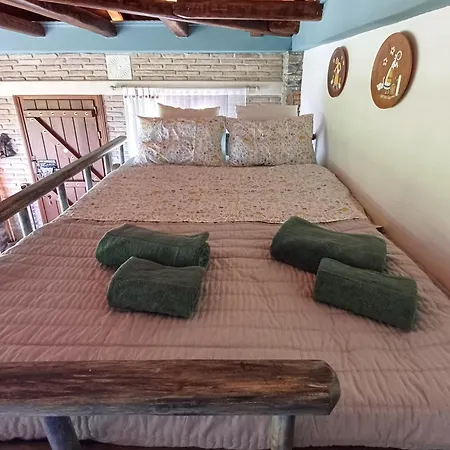 Case de vacanță The Mushroom