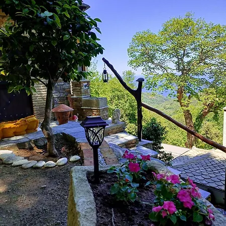 The Mushroom Anilio Pelion