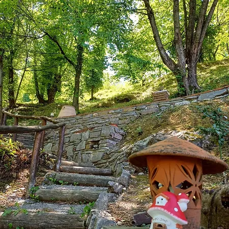 The Mushroom Nyaraló