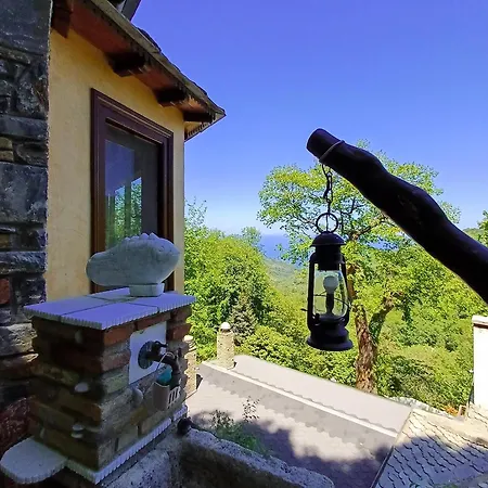 Case de vacanță The Mushroom *