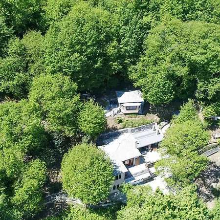 The Mushroom Anilio Pelion