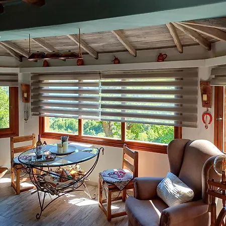 The Mushroom Case de vacanță