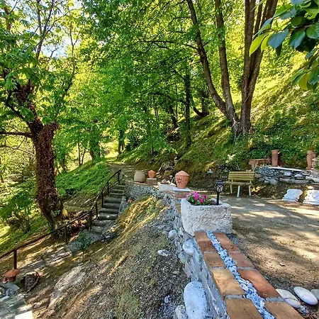 The Mushroom Case de vacanță *