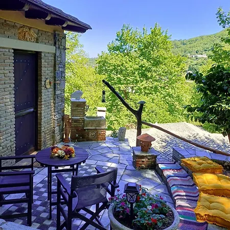 The Mushroom Case de vacanță *