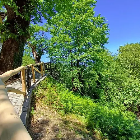 The Mushroom Case de vacanță