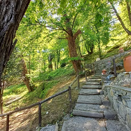 The Mushroom Case de vacanță *