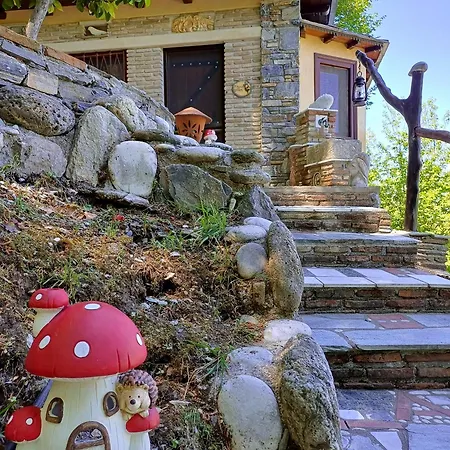 The Mushroom * Anílio Pilíu