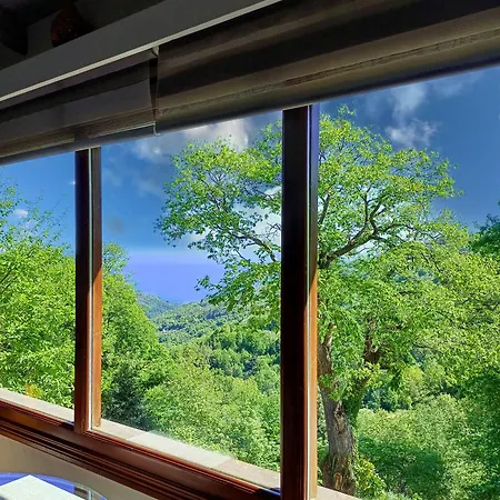 The Mushroom Case de vacanță